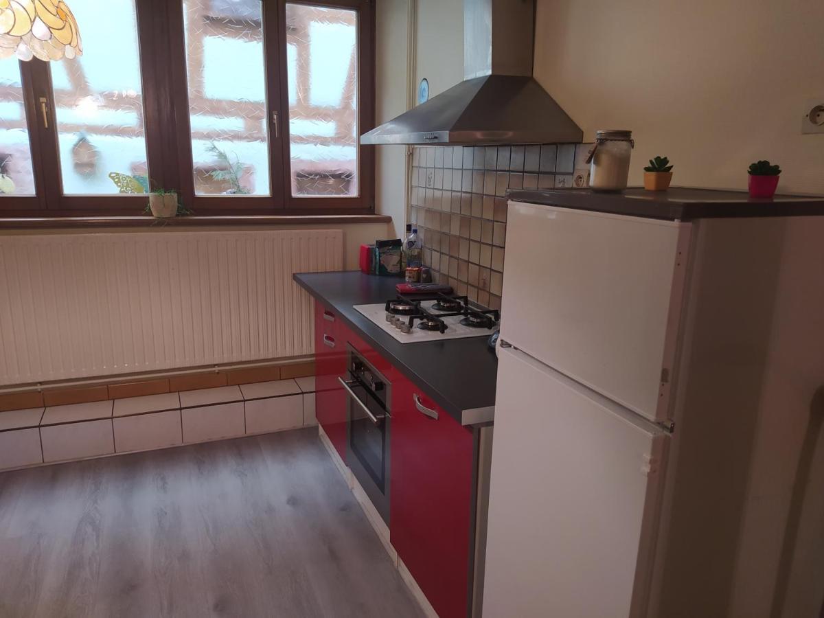 Chey Mybam, Agreable Maison Au Centre De Selestat Villa Kültér fotó